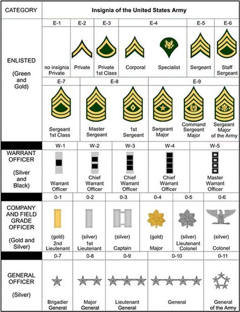 Army Basic Training, Army Insignia, Photo Avion, Army Recruitment, Army Ranks, Military Tactics, Military Ranks, Combat Training, Military Mom