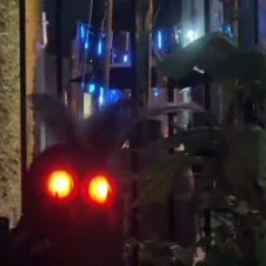 Cryptid Cosplay, Moth Man Costume, Punk Librarian, Mothman Costume, Moth Man, Holloween Costume, Breakfast Sweets, Male Eyes, Reaction Pics