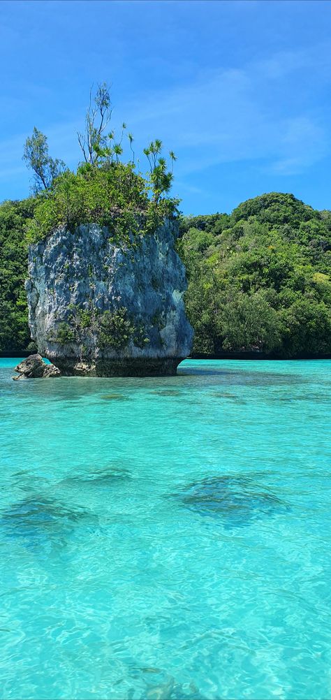 Palau Aesthetic, Palau Island, Nature Oc, Amazing Landscapes, Oceania Travel, Earth Nature, Rock Island, National Photography, Desert Island