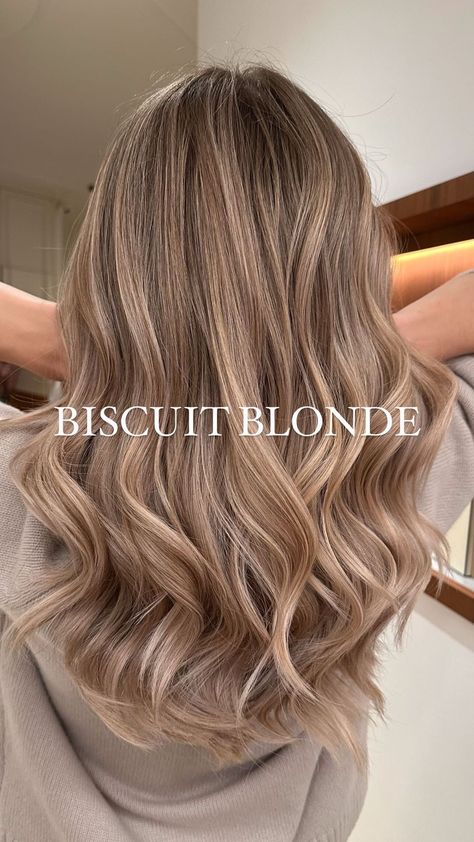 Biscuit Blonde, Blender Tips, Air Touch, Sandy Blonde Hair, Beige Blonde Hair, Blonde Hair Goals, Beige Highlights, Perfect Blonde Hair, Fall Blonde Hair