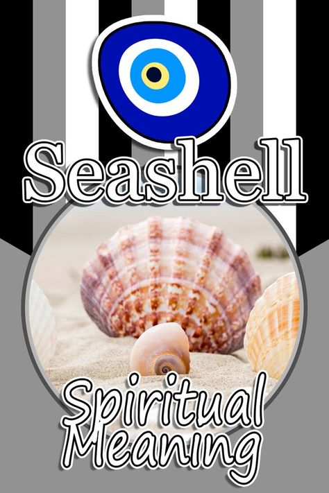 Seashell Spiritual Meaning Sea Shell Spiritual Meaning, Cowrie Shell Meaning, Seashell Meaning, Shells Meaning, Shell Meaning, Animal Meanings, Spiritual Animal, Shiva Eye, Bring Good Luck