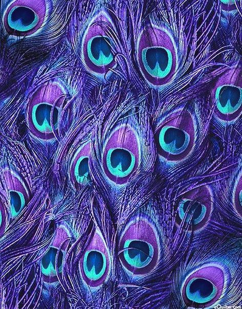 Purple And Teal Aesthetic, Peacock Feather Background, Peacock Feathers Wallpaper, Peacock Background, Purple Peacock Feather, Peacock Colours, Peacock Feather Art, Purple Feathers, Peacock Feather Design