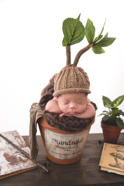 how to convert a plain knit hat into a baby mandrake hat from Harry Potter for newborn photos Baby Harry Potter, Harry Potter Nursery, Foto Newborn, Baby Kostüm, Harry Potter Baby, Baby Sleep Problems, Foto Baby, Foto Tips, Baby Arrival