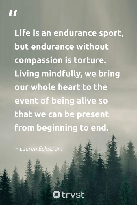 Embrace Life Quotes, Living Mindfully, Practice Quotes, Be In The Moment, Jon Kabat Zinn, Beauty Of Life, Embrace Life, Live In The Present, Whole Heart