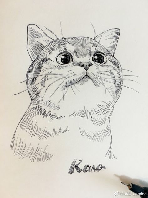 Kang Meng, Cat Drawing Sketches, Cat Drawing Ideas, Cats Art Drawing, Cat Drawings, Cat Sketch, Cats Drawing, Drawing Cat, Drawing Faces