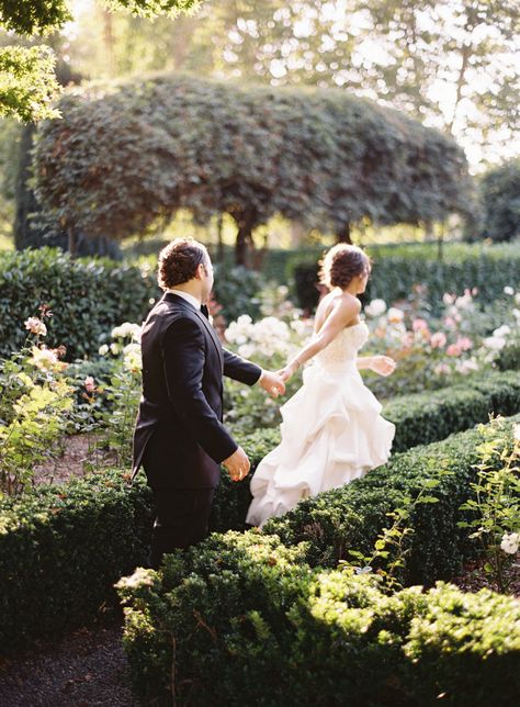 Beaulieu Garden Wedding, Park Wedding Ceremony, Beaulieu Garden, Outdoor Garden Wedding, Napa Valley Wedding, Wedding Ceremony Photos, Wedding Picture Poses, Wedding Photography Styles, Ceremony Venue