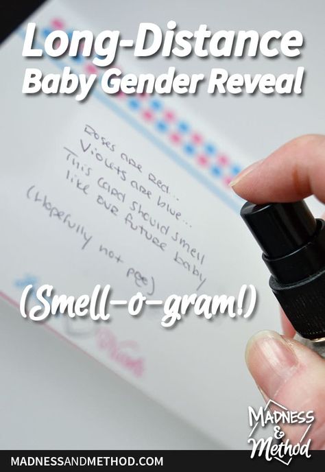 We did a unique smell-o-gram to send to family and friends who live far away; and today I'm listing some other long-distance gender reveal ideas. Long Distance Gender Reveal Ideas, Gender Reveal Cards, Gender Reveal Announcement, Gender Announcements, Gender Reveal Ideas, Relaxation Meditation, Baby Gender Reveal, Reveal Ideas, Baby Gender