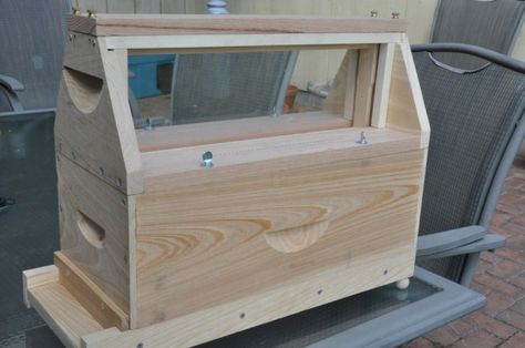 ulster observation hive by libhart Beekeeping Diy, Observation Hive, Bee Equipment, Bee Farming, Bee Hive Plans, Bee Stuff, Bee Supplies, Raising Bees, Homestead Farm