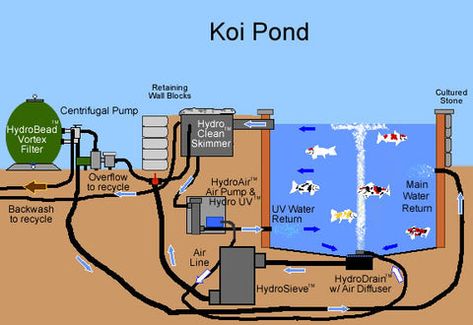 Koi Pond Backyard, Fish Ponds Backyard, Pond Koi, Koi Pond Design, Pond Construction, Kolam Koi, Fish Pond Gardens, Taman Air, Garden Pond Design