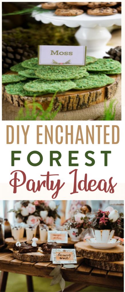 Enchanted Forest Tea Party Ideas, Diy Enchanted Forest Decor Birthday Party, Enchanted Forest Desserts Table, Woodland Party Diy Decorations, Enchanted Forest Sleepover, Enchanted Forest Menu Ideas, Enchanted Forest Party Activities, Woodsy Party Theme, Enchanted Forest Engagement Party