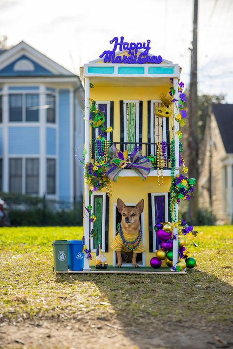 Mardi Gras Parade Float, Mardi Gras Photos, Mardi Gras Dog, Mardi Gras Party Decorations, Mardi Gras Float, Dog Parade, Mardi Gras Costumes, Mardi Gras Parade, Mardi Gras Decorations