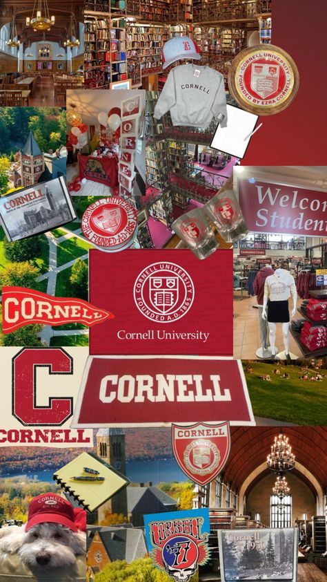 #myfirstshuffle #cornell #collages Cornell College, University Inspiration, College Inspiration, Vision Board Collage, College Vision Board, Law School Inspiration, College Acceptance, College Motivation, College List