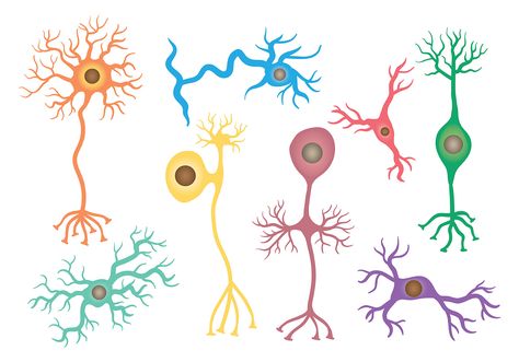 Free Neuron Icons Vector Dystopian Art, Chemistry Art, Brain Book, Scanning Electron Micrograph, Microscopic Photography, Urban Design Graphics, Color Me Mine, Biology Art, Nursing School Survival