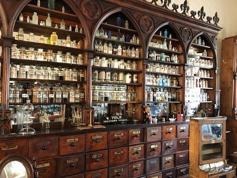 Traveling Apothecary Wagon, Apothecary Aesthetic Library, Victorian Apothecary Decor, Herbal Apothecary Storage, Witchy Apothecary Shelf, Apothecary Bar Design, 18th Century Apothecary, Chinese Apothecary Aesthetic, In Home Apothecary