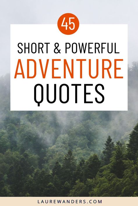 Future Adventures Quotes, More Adventures Quotes, Lets Explore Quotes, Spontaneous Adventures Quotes, On To New Adventures Quotes, Saturday Adventure Quotes, Adventours Quotes, Adventurous Life Quotes, Great Adventure Quotes