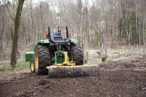 How We Turned Woods into Sheep Pasture - The Modern Day Settler Sheep Pasture Ideas, Sheep Pasture, Katahdin Sheep, Landscape Rake, Hay Day, Sheep Farm, This Old House, Green Pasture, Stone Walls