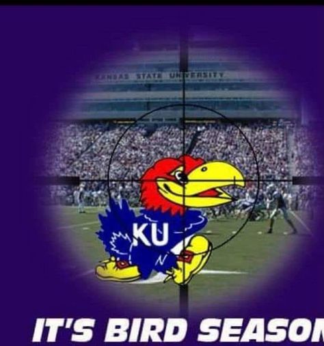 Kansas State Football, Ksu Wildcats, Ku Jayhawks, Kansas State University, Kansas State Wildcats, Kansas State, Wild Cats, Kansas, Football