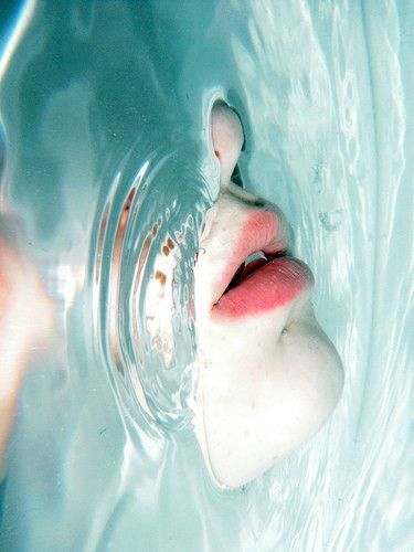 By Louiseimogen Bawah Air, Fotografi Bawah Air, Breathing Underwater, Have Inspiration, Water Photography, Underwater Photography, Foto Inspiration, 인물 사진, 그림 그리기