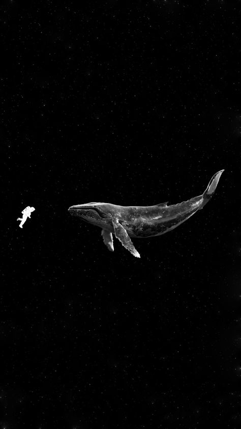 52 Hz Whale, 52hz Whale, Whale 52, Whale Wallpapers, Whales Wallpaper, Whale Wallpaper, Space Whale, Personalized Wallpaper, Astronaut Wallpaper