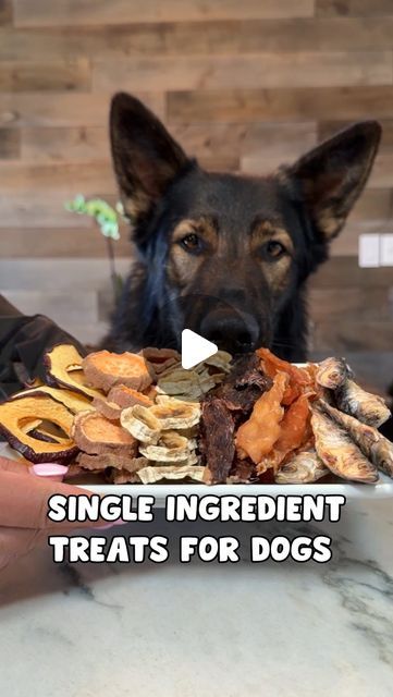 JADE THE SABLE GSD on Instagram: "6 Single Ingredient Dog Treat Recipes 🐶 Don’t forget to save this recipe and follow us for more  - I hope everyone enjoys this very easy and healthy one ingredient dog treats recipe! We did these in a dehydrator but we share oven directions as well. We made chicken jerky, sweet potato chews, apple chips, banana chips, beef jerky and dried sardines crisps!  #dogtreats #dogjerky #homemadedogtreats #dog #germanshepherd #dogs #dogrecipe" Chicken Jerky Recipes Dehydrator Dog Treats, Freeze Dry Dog Treats, Dog Jerky Recipes, Freeze Dried Dog Treats Recipes, Dog Kibble Recipe, Dog Chicken Jerky, Dried Sardines, Dehydrator Dog Treats, Jerky Recipes Dehydrator