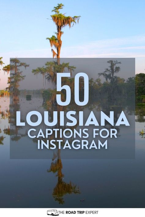 Louisiana Captions for Instagram New Orleans Captions Instagram, Raise Quotes, New Orleans Quotes, Adventure Captions, Tour Quotes, Louisiana Swamp, Captions For Instagram Posts, Louisiana Bayou, Wedding Captions