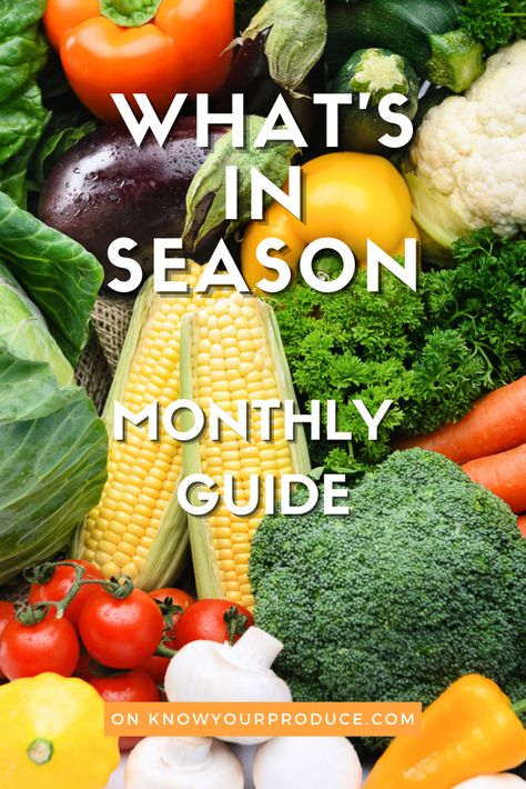 Fruit And Veggies In Season, What Food Is In Season, Fall Season Vegetables, In Season Veggies And Fruits, Fruit And Vegetable Season Chart, Seasonal Fruit And Vegetable Chart, Spring Vegetables In Season, Fall Seasonal Fruits And Vegetables, Fruits And Vegetables Seasons