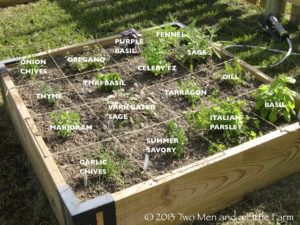 square foot herb garden Raised Bed Herb Garden, Raised Bed Garden Layout, Backyard Herb Garden, Raised Herb Garden, Square Foot Gardening Layout, Garden Bed Layout, Small Herb Gardens, Outdoor Herb Garden, Raised Bed Garden Design