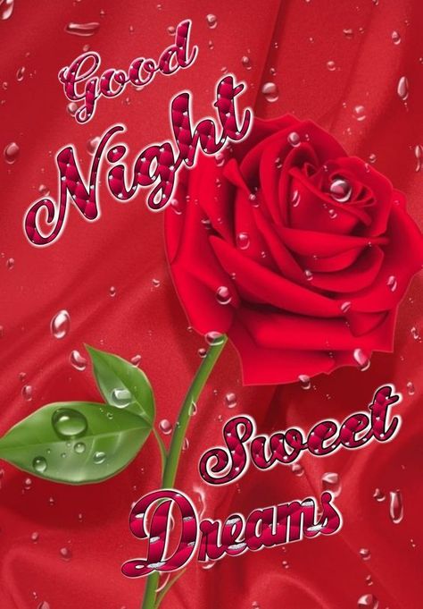 Wet Rose Good Night Sweet Dreams night good night quotes sweet dreams morning nights days Sweet Dreams Pictures, Photos Of Good Night, New Good Night Images, Good Night Images Hd, Lovely Good Night, Good Morning Happy Saturday, Good Night Love Quotes, Good Night Wallpaper, Romantic Good Night