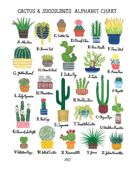 @etsy on Instagram: “Want this succulent chart? Welcome to day 2 of our 2018 #EtsyBestNine giveaways! We’re looking back at some of our top-liked posts of 2018,…” Types Of Cactus Plants, Cactus Names, Succulents Illustration, Succulent Images, Cactus Art Print, Alphabet Chart, Cactus Planta, Indoor Cactus, Cactus Types