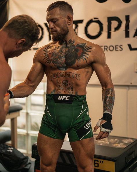 Conor McGregor Official on Instagram: “Twelve days 🇮🇪” Conor Mcgregor Body, Mcgregor Training, Mcgregor Suits, Conner Mcgregor, Mcgregor Wallpapers, Conor Mcgregor Style, Notorious Mcgregor, Ufc Conor Mcgregor, Ufc Poster