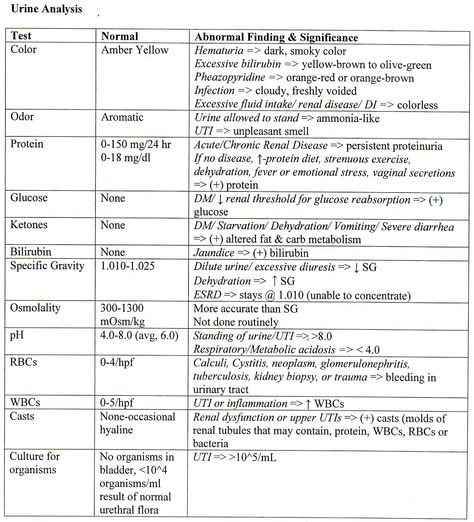 Urine Analysis, Neonatal Nursing, Nursing Cheat, Nursing School Essential, Nursing Study Guide, Lab Values, Pa School, Neonatal Nurse, Cardiac Nursing