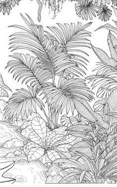 Jungle Line Art, Jungle Plants Drawing, Illustration For Kids, Tropical Art Print, Jungle Illustration, Tropical Painting, Landscape Tattoo, Jungle Art, Wall Murals Painted