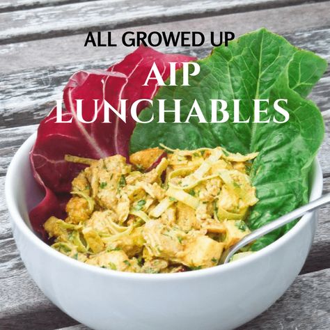 25 Easy AIP Lunch Ideas (Brown-bag Approved) | Meet Dr. Lauryn Aip Lunch Ideas, Aip Lunch, Easy Cauliflower Soup, Inflammatory Meals, Carrot And Coriander Soup, Turmeric Chicken, Whole 30 Lunch, Roasted Cauliflower Soup, Cauliflower Soup Recipes