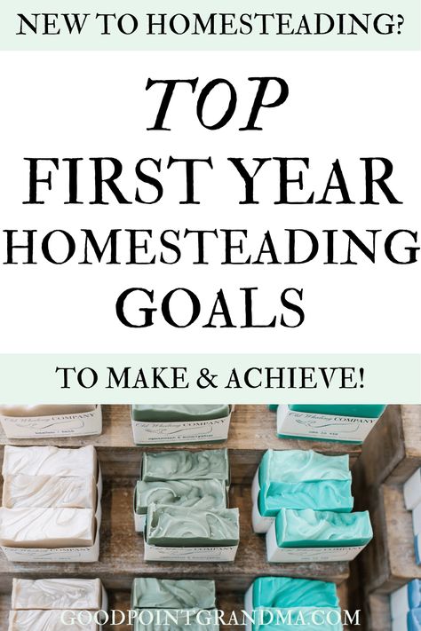 If you are new to homesteading or just don't know where to start, then these first year homesteading goals are for you! These are easy and attainable goals that our family achieved in our first year homesteading and that we recommend to others starting out. Homesteading can feel overwheling at first because there are so many options. Use this list to find the best goals in homesteading for your family specifically! You will be equipped to start strong and quickly. #homesteading #goals #firstyear First Steps To Homesteading, Quarter Acre Homestead, Homesteading Goals, Crunchy Lifestyle, September Meals, Homesteading For Beginners, Homestead Inspiration, Attainable Goals, Homesteading Life