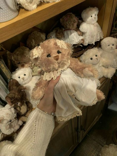 Cute Stuffed Animals, Oui Oui, Bukowski, Brown Aesthetic, Cute Plush, Teddy Bears, Soft Toy, Lana Del Rey, Stuffed Animals