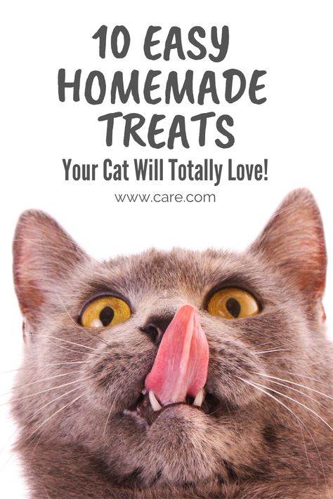 Homemade Treats For Cats, Cat Treats Homemade Easy, Cat Treats Recipes, Organic Cat Treats, Homemade Cat Treats, Homemade Cat Treats Recipes, Diy Cat Treats, Kitty Treats, Pet Recipes