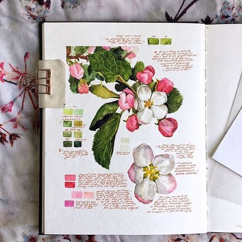 Kunstjournal Inspiration, Botanical Sketchbook, Sketchbook Layout, Journal Calendar, Gcse Art Sketchbook, A Level Art Sketchbook, Watercolour Flowers, Color Study, Illustration Botanique