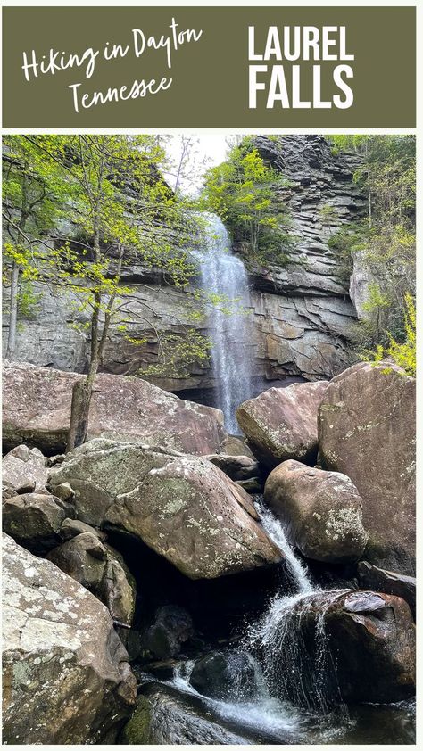 Laurel Falls is a beautiful Tennesee waterfall located in the Laurel-Snow Pocket Wilderness in Dayton, Tennessee. Just 30 minutes north of Chattanooga, it's a fun hike with an easy elevation gain and a lovely waterfall at the end! Lots of options on this hiking trail! Dayton Tennessee, Snow Trails, Laurel Falls, Hiking Trail, On The Road Again, Hiking Trails, 30 Minutes, Kentucky, Tennessee