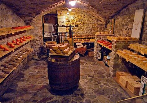 Cheese cellar | Flickr - Photo Sharing! Root Cellar Storage, Cheese Cave, Root Cellar, Cellar Design, Canned Fruit, Underground Homes, Survival Gardening, Cold Room, Rental Homes