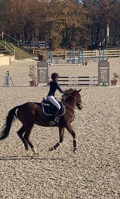 Equestrian Aesthetic Jumping, Aesthetic Show Jumping, Equestrian Life Aesthetic, Equestrian Aesthetic Outfit, Horse Jumping Aesthetic, Horse Riding Outfit Aesthetic, Aesthetic Horse Pictures, Horse Rider Aesthetic, Show Jumping Aesthetic