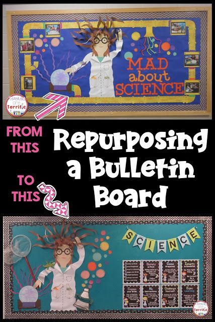 Science Bulletin Board! This post shows a way to re-purpose an already-amazing board. Stem Decorations, Science Bulletin Board, Science Display, Science Bulletin Boards, Science Room, Science Classroom Decorations, Teacher Bulletin Boards, Science Boards, Science Decor