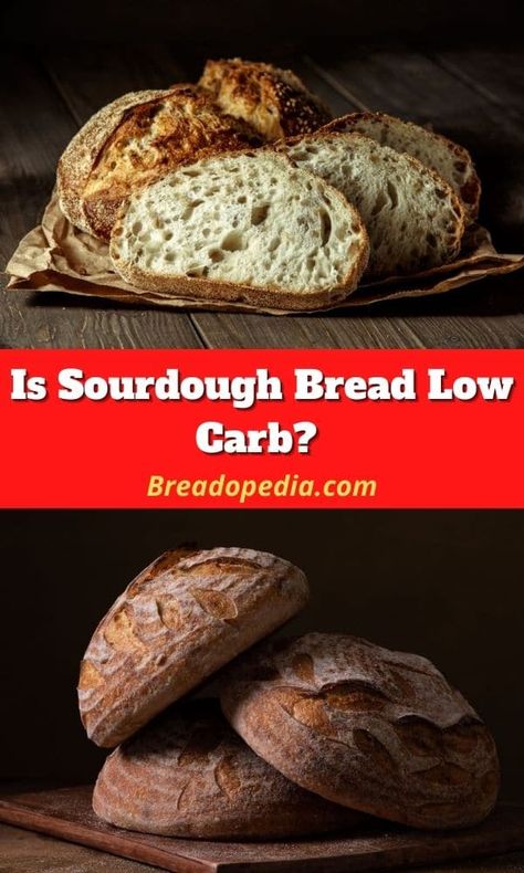 Sourdough Low Carb Recipes, Protein Sourdough Bread, Low Carb Sourdough Starter, Healthy Sourdough Bread Recipe, Keto Sourdough Bread Starter, Sourdough For Diabetics, High Protein Sourdough Bread, Healthy Sour Dough Bread Recipe, Almond Flour Sourdough Bread