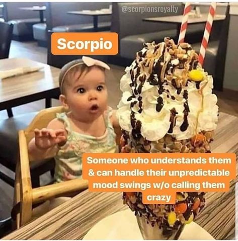 386 Likes, 8 Comments - Bella Scorpi (@bellascorpi) on Instagram: “For real. Follow me for scorpio quotes 👉 @bellascorpi #scorpion #scorpio #zodiac #horoscope…” Zodiac Mind Scorpio, Scorpio Funny, Zodiac Leo Art, Taurus Memes, Leo Zodiac Quotes, Leo Star Sign, Horoscope Memes, Leo Zodiac Facts, Aquarius Truths