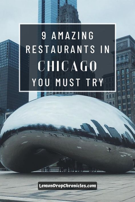 9 Amazing Restaurants In Chicago You Must Try Chicago Rooftop Restaurants, Rooftop Chicago, Millenium Park Chicago, River North Chicago, Grant Park Chicago, Chicago Restaurants Best, Millennium Park Chicago, River Restaurant, Restaurants In Chicago