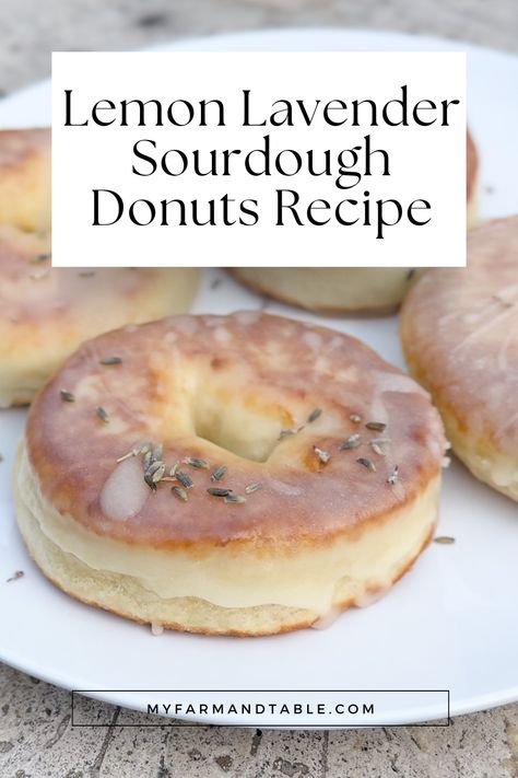 Indulge in our Lemon Lavender Sourdough Donuts Recipe! These delightful donuts combine the tangy flavor of sourdough with the refreshing taste of lemon and a hint of lavender. Perfect for breakfast or a sweet treat, these donuts are light, airy, and full of flavor. Our step-by-step guide ensures perfect results every time. Visit our blog for the full recipe and elevate your baking with these unique, flavorful donuts! Sourdough Lemon Recipes, Lavender Sourdough Bread, Lavender Sourdough, Sourdough Donuts Recipe, Sourdough Donut, Sourdough Donut Recipe, Donuts At Home, Lavender Recipes, Culinary Lavender