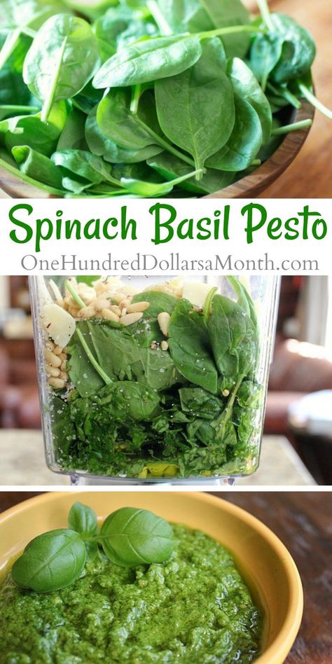 Spinach Basil Pesto - One Hundred Dollars a Month Pesto With Spinach, Making Pesto, Spinach Basil Pesto, Basil Pesto Recipe, Pesto Dip, Basil Pesto Recipes, Basil Recipes, Marinade Sauce, How To Make Pesto