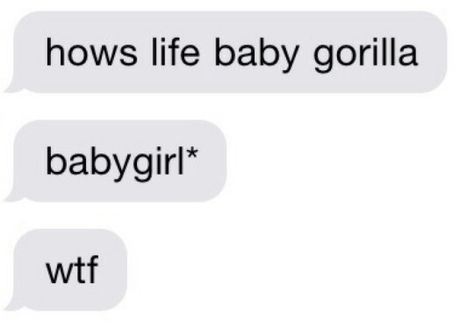 I'll be your baby gorilla. Trying To Flirt, Me Trying To Flirt, Baby Gorilla, Stuff To Make, Baby Gorillas, Funny P, Flirting Messages, Flirting Texts, Funny Thoughts