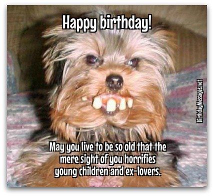 Happy Birthday Humorous, Happy Birthday Wishes For Him, Best Happy Birthday Quotes, Happy Birthday Funny Humorous, Funny Birthday Message, Happy Birthday Wishes For A Friend, Funny Happy Birthday Images, Funny Happy Birthday Meme, Funny Happy Birthday Pictures