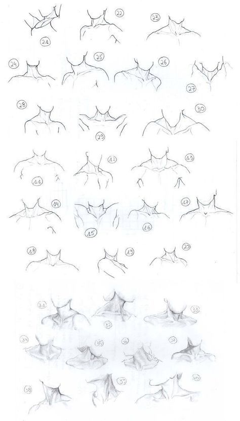 Craft Drawing, Neck Drawing, Body Drawing Tutorial, Anatomy Sketches, Body Reference Drawing, Have Inspiration, 인물 드로잉, Anatomy Drawing, Poses References