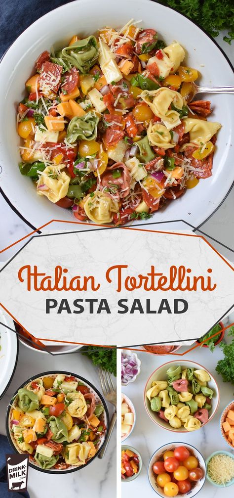 To make this zesty pasta salad, combine cheese tortellini is mixed with cubes of cheddar and mozzarella cheese, tomatoes, roasted red peppers, pepperoni, Parmesan cheese and fresh herbs, then toss in a light Italian dressing. It's perfect for summer cookouts or backyard BBQs. Greek Tortellini, Tortellini Pasta Salad Recipes, Greek Tortellini Salad, Tortellini Pasta Salad, Classic Pasta Salad, Pasta Salad With Tortellini, Chicken Tortellini, Tortellini Recipes, Tortellini Pasta